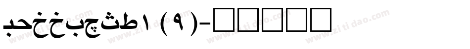 COPPBLH_1 (9)字体转换